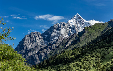 建設(shè)工程項目管理軟件 建設(shè)工程項目管理軟件